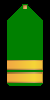 RADM(g)