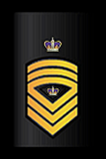 SMCPON